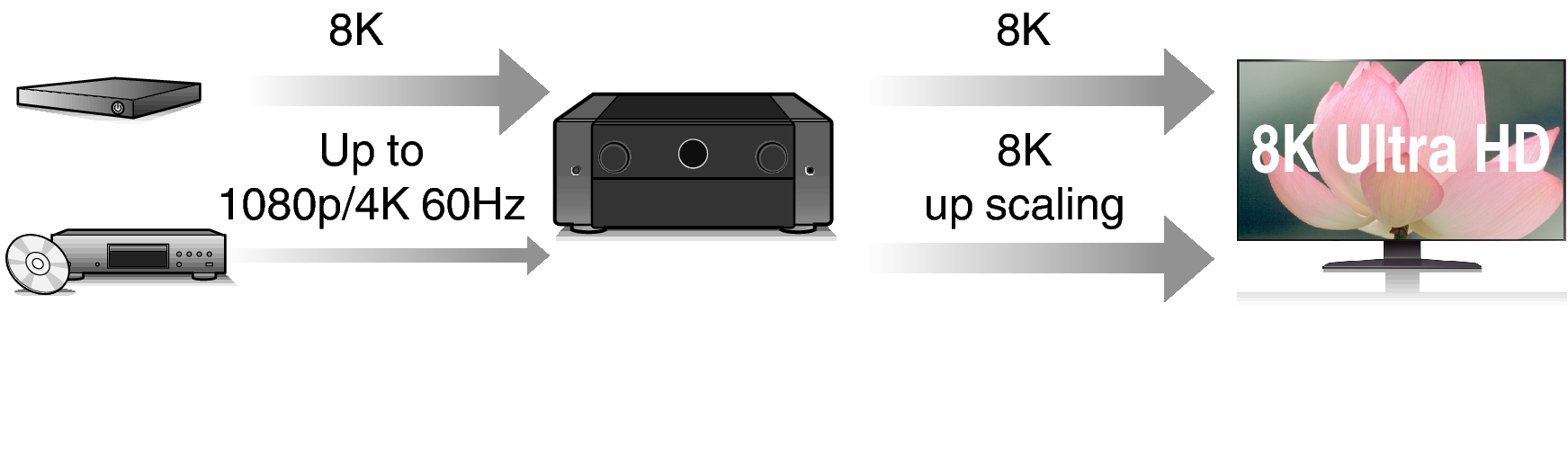 Feature2 C40